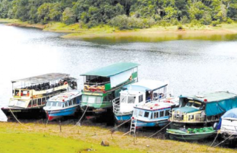 केरल की एक खूबसूरत जगह थेक्कडी